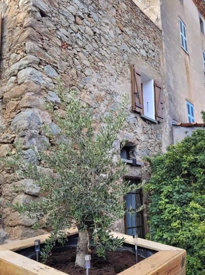 The Cosy Home Corbara By 1722 Kültér fotó